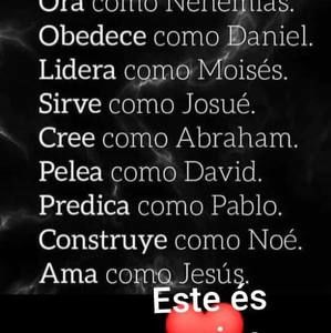 Meet your Posher, Dani